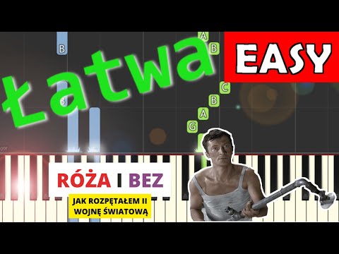 🎹 Róża i bez (Jak rozpętałem II wojnę światową) - Piano Tutorial (łatwa wersja) 🎵 NUTY W OPISIE 🎼