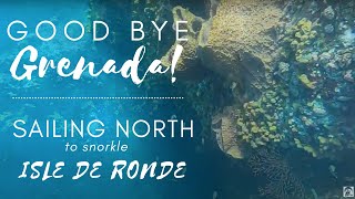 Grenada to Isle de Ronde | Sailing Luna Sea | S 4 E 9 | Gluten Free Oat Pancakes | Snorkel