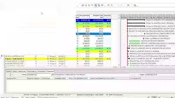 Primavera P6 ,Global Change