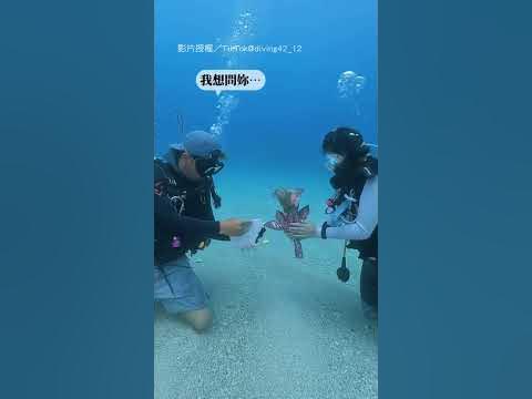 【超浪漫求婚 ️】願永遠只被妳「居琉」 琉球潛水 男友浪漫求婚|情侶|小琉球|潛水|求婚|浪漫 YouTube