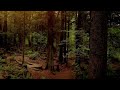 Dorel de la Popesti & Bogdan Farcas - Mama mea cu suflet bun (TedMusic Version)