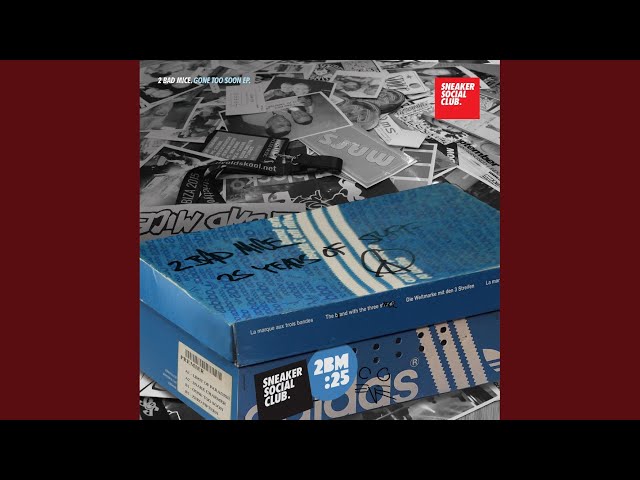 2 Bad Mice - Gone Too Soon