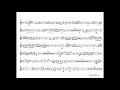 J. Hummel -Trumpet Concerto E flat Major - T. Dokshizer  trumpet Bb