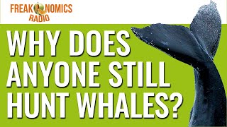 Why Do People Still Hunt Whales? | Freakonomics Radio | Episode 550 screenshot 1