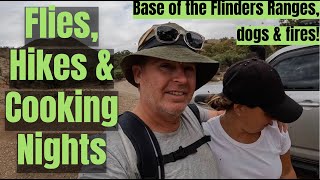 Flies, Hikes \u0026 Cooking Nights | Base of the Flinders Ranges | Dog \u0026 Fire Friendly