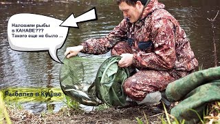 Рыбалка в Кушве - На Мах в КАНАВЕ ! ДА НУ НАХ.... Рыбалка в Кушве - На Мах в КАНАВЕ ! ДА НУ НАХ....