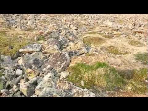 Tom feeding mountain goats on Froze-to-Death Plateau