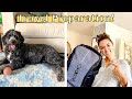 Save Space While Packing | Car Inspection &amp; Registration in GERMANY | Handle Pet Separation Anxiety