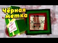 Сектанты вернулись за нами? Мы все умрём?.. Мать-Одиночка