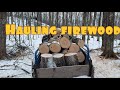 Cutting and hauling firewood.  What trees we harvest for firewood.