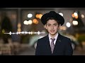 אלי ללוש - עומד כאן לבדי - קליפ