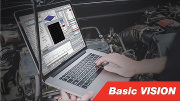 Basic VISION Training