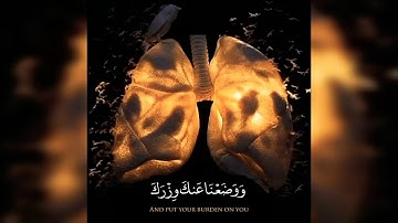 اجمل تلاوه  |  ايات قصيره  | سورة الشرح  | حالة واتساب قران كريم