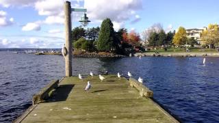 Marina Park - Kirkland, WA - Кёркланд, Штат Вашингтон by emerald green 132 views 7 years ago 3 minutes, 25 seconds