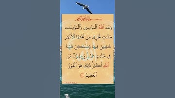 سوره التوبه ❤️