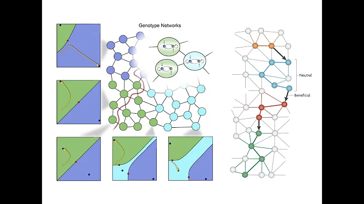 12.02 Evolvability and Robustness  Beyond Networks...