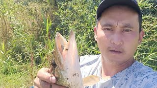 картинка: Ала арча водохранилища судак кармаганы бардым
