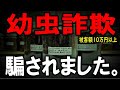 オークションで高額カブトムシの幼虫詐欺にあいました（くろねこチャンネル）