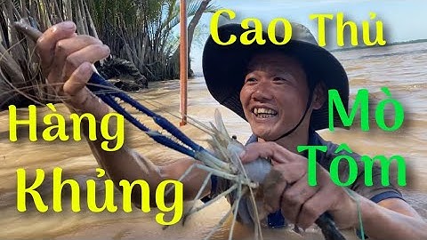 Mò Tôm Càng Xanh Khủng Về Nướng Mọi Ngọt Ngất Ngây #79 | Cù Lao Dung Vlogs