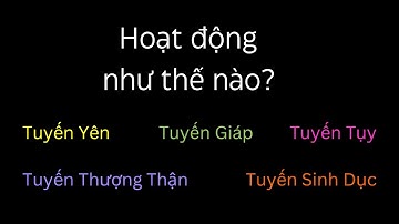 Hệ Nội Tiết hoạt động như thế nào? - Sinh Học - tập 33 | Tri thức nhân loại