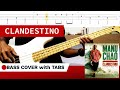 Clandestino  manu chao  bass cover  tabs