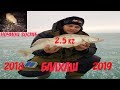 Зимняя рыбалка на Балхаше 2018 - 2019 / Ночной гость /  Бонус судак на 2 5 кг /