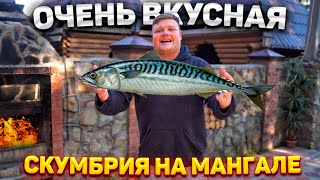 ОЧЕНЬ ВКУСНАЯ СКУМБРИЯ НА МАНГАЛЕ