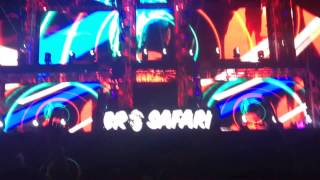 Bro Safari performing Lunatic by Mercer and DJ Snake at EDC June 21 2014