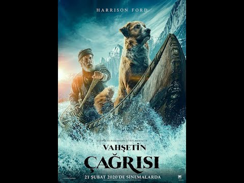 Vahşetin Çağrısı TÜRKÇE FULL İZLE   The Call of the Wild   Türkçe Dublaj Full İzle