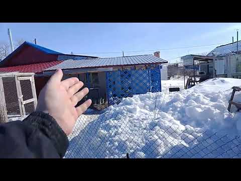 7 марта. Начало первой инкубации куриных яиц  2024.Ответы на вопросы.