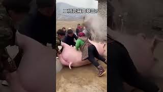 #shorts #viral #trending #funny #1trend#shorts #viral #trending #funny #1second#shorts #viral #t