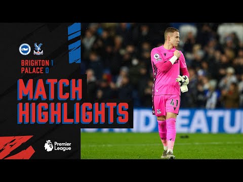 Brighton Crystal Palace Goals And Highlights