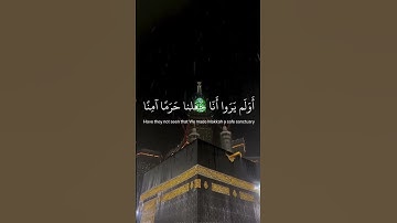سورة العنكبوت | تلاوة خاشعة للقارئ عبد الرحمان مسعد ✨