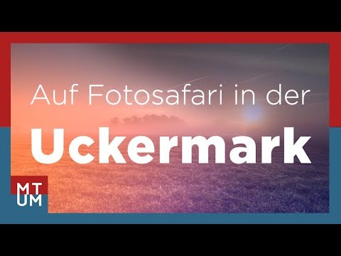 Auf Fotosafari in der Uckermark (Folge 1) - Die Nebelfelder von Prenzlau und Nechlin