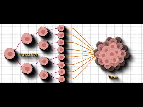 Видео: History Of Tobacco Mosaic - Повреждения табачной мозаики и растения, пораженные ВТМ