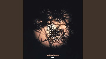 Until we reach tenderness (다정함에 이르기까지)