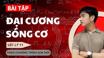 [Vật Lý 11] Bài tập Đại Cương Sóng Cơ | Kết Nối Tri Thức & Chân Trời Sáng Tạo