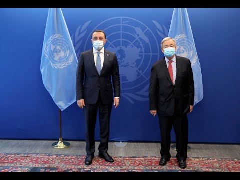 პრემიერი გაეროს გენერალურ მდივანს საქართველოს ოკუპირებულ ტერიტორიებზე არსებულ მდგომარეობაზე ესაუბრა