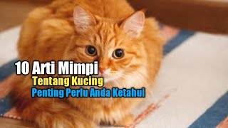 10 Arti Mimpi tentang Kucing, Penting Perlu Anda Ketahui