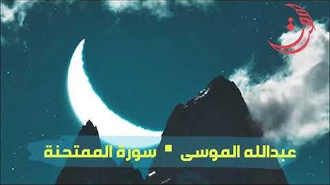 سورة الممتحنه💡الشيخ عبدالله الموسى