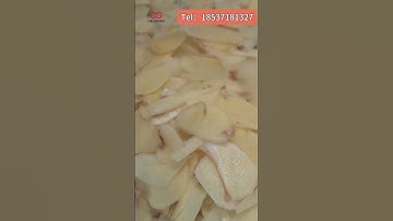 How to Perfectly Slice Root Vegetables | Carrot Ginger Slice Cutting Machine Real Shot