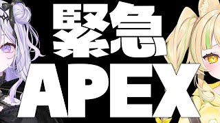 【 APEX 】妹と急遽えぺします！#お座敷てれび【#座敷わらび/AiceClass】
