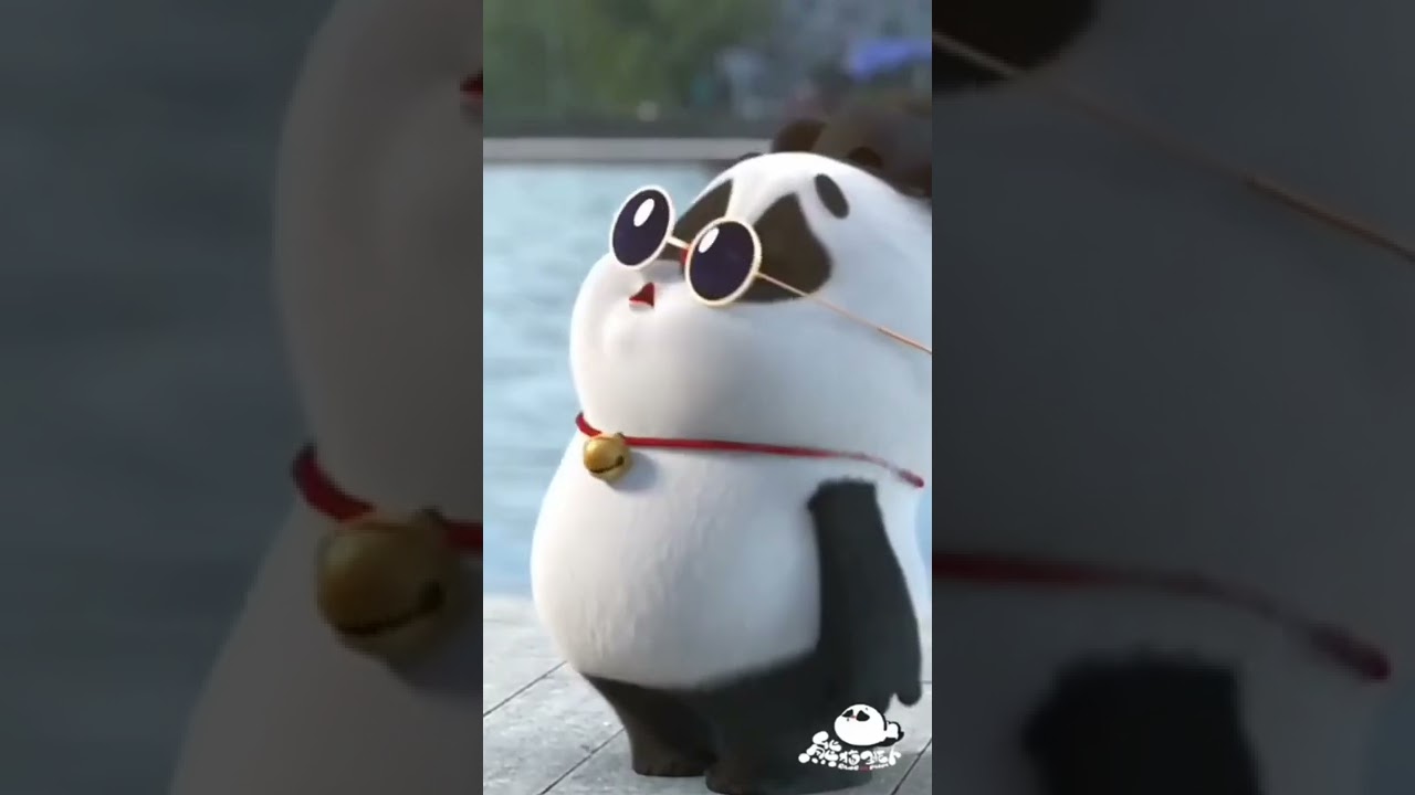 Cute panda new funny video | 