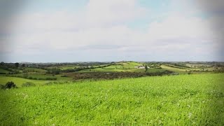 The Traditional Orchestra - Irish Classics - Jug Of Punch