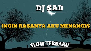 DJ SAD Ingin Rasanya Ku Menagis Slow Santuy Terbaru By DJ DIMERZ