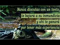 El cocodrilo provocador - Reflexión de crecimiento humano