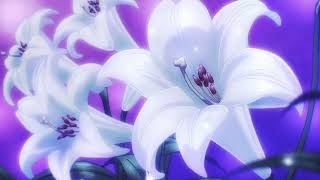 Jill Scott - He Loves Me (Lyzel in E Flat) / 𝓼𝓵𝓸𝔀𝓮𝓭  & 𝓻𝓮𝓿𝓮𝓻𝓫