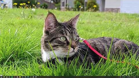 Avoid DMCA on VODS only - How to play Music on stream, but not on your VODS.