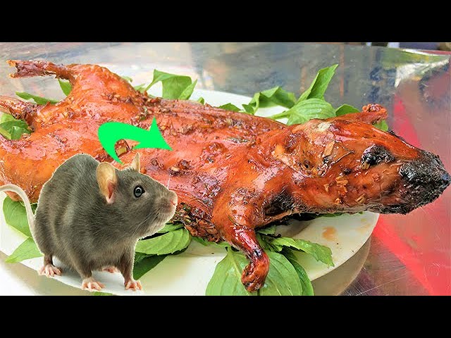 The world's most exotic food - Grilled mouse is very fragrant and delicious