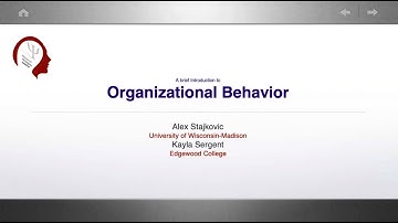 An Introduction to Organizational Behavior